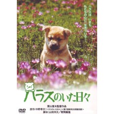 和哈拉斯在一起的日子 日本感人狗狗电影 DVD收藏版