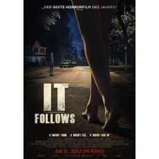 它在身后 It Follows (2014) 欧美经典高分恐怖片 DVD收藏版