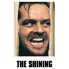 闪灵 The Shining 经典惊悚恐怖片电影版 中文字幕DVD收藏版