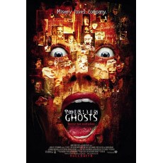 13幽灵/十三猛鬼 Thir13en Ghosts经典稀缺B级恐怖CULT片 DVD版