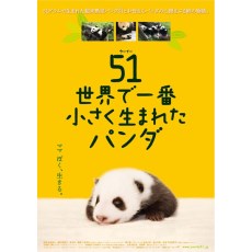 大熊猫51的故事 可爱纪录片 中文字幕DVD收藏版