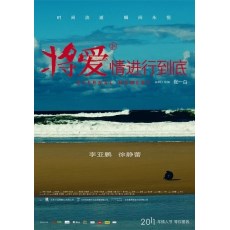 将爱情进行到底/将爱电影版 李亚鹏/徐静蕾 DVD