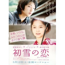 初雪之恋 李俊基/宫崎葵 经典感人唯美爱情电影 DVD收藏版