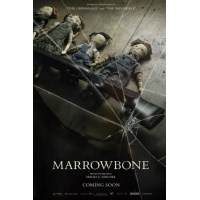 马柔本宅秘事 El secreto de Marrowbone 2017年高分恐怖片 DVD版