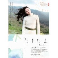 偶然 たまたま 苍井优主演日本爱情电影 DVD收藏版