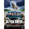 疯羊Black Sheep经典B级重口味变异动物CULT恐怖片 DVD收藏版