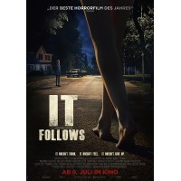 它在身后 It Follows (2014) 欧美经典高分恐怖片 DVD收藏版