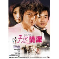 手足情深 范冰冰/苏有朋/张智霖 国粤双语DVD收藏版