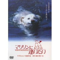 相见玛丽琳 日本感人狗狗电影 DVD收藏版