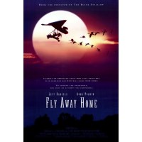 伴你高飞/返家十万里 Fly Away Home 经典电影 全新盒装DVD