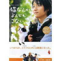 为什么猫都叫不来 2016年真人电影版 日本感人的猫咪 DVD收藏版