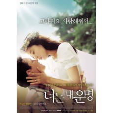 你是我的命运 韩国经典感人爱情电影 黄政民/全度妍 DVD收藏版