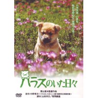 和哈拉斯在一起的日子 日本感人狗狗电影 DVD收藏版