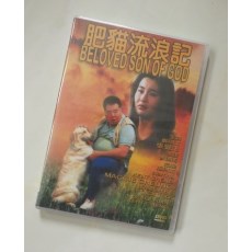 肥猫流浪记 经典感人电影DVD收藏版 郑则仕/张曼玉