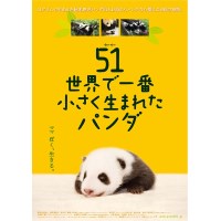 大熊猫51的故事 可爱纪录片 中文字幕DVD收藏版