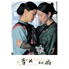 雪花秘扇 全智贤/李冰冰/邬君梅/姜武 DVD收藏版