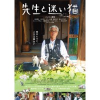 先生与迷路猫/老师与流浪猫 日本猫咪电影 DVD收藏版