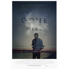 消失的爱人 Gone Girl 经典悬疑电影 大卫芬奇作品 DVD收藏版