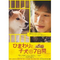 向日葵与幼犬的7天 日本经典感人泪下的狗狗电影 DVD收藏版